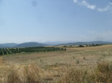 100 sot torpaq sahəsi, Quba r.