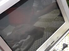 Televizor