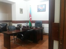 Ofis icarəyə verilir, Nəsimi r.