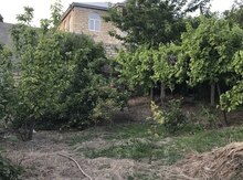 17 sot torpaq sahəsi, Badamdar qəs.