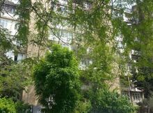 3-otaqlı mənzil kirayə verilir, Nərimanov r., 85 m²