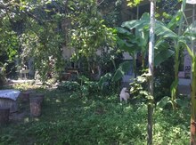 Bağ evi kirayə verilir, Şəki r.