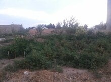5 sot torpaq sahəsi, Abşeron r.,