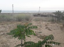 30 sot torpaq sahəsi, Pirallahı qəs.,