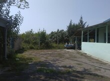 30 sot torpaq sahəsi,Mingəçevir ş.