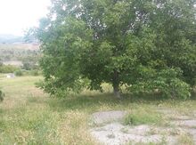 Bağ evi, Xızı ş.