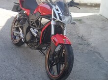 Megelli Sport SE, 2013 il
