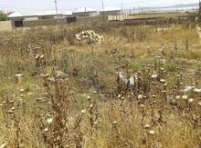 2.5 sot torpaq sahəsi, Abşeron r.