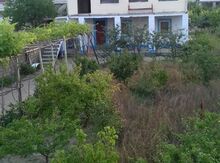 4 sot torpaq sahəsi, Pirşağı qəs.