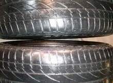 Şinlər 225/55 R19