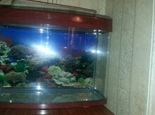 Заводской аквариум