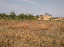 8 sot torpaq sahəsi, Quba ş.
