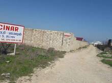 6 sot torpaq sahəsi, Sumqayıt ş.,