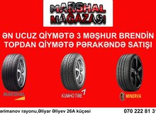 Avtomobil şinləri
