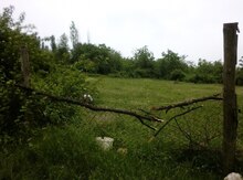 12 sot torpaq sahəsi, Quba r.