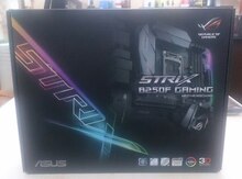 Ana Plata "Asus Strix B250F Gaming"