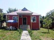 Həyət evi kirayə verilir, Qəbələ r.