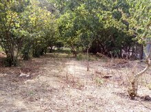 6-otaqlı mənzil, Nabran ş., 12 m²