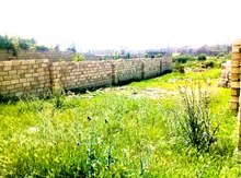 2 sot torpaq sahəsi, Binəqədi qəs.,