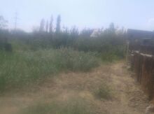 12 sot torpaq sahəsi, Sumqayıt ş.,