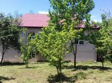 Bağ evi kirayə verilir, Qəbələ r.