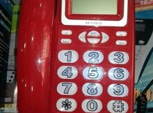 Ev telefonu