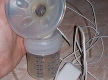 Süd sağan "Avent"