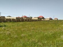 11 sot torpaq sahəsi, Masazır qəs.