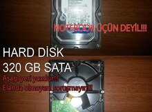 Sərt disk, 320GB