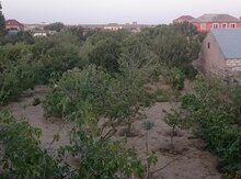 Bağ evi, Saray qəs.