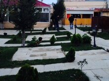 Obyekt icarəyə verilir, Neftçiler m.