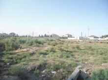 157 sot torpaq sahəsi, Pirşağı qəs.