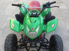 Kvadrosikl "Suzuki"