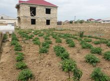 Həyət evi, Digah qəs.