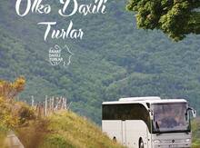 Ölkədaxili turlar