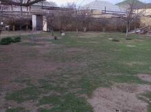 7 sot torpaq sahəsi, Binə qəs.