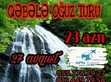Ölkədaxili turlar