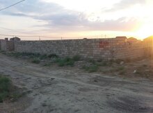 4 sot torpaq sahəsi, Saray qəs.