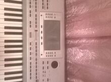 "Korg" pa 80