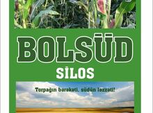 qarğıdalı silosu