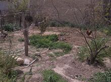 2 sot torpaq sahəsi, Xətai r.,