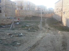 3.5 sot torpaq sahəsi, Saray qəs.