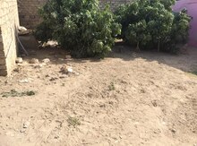 2 sot torpaq sahəsi, Buzovna qəs.,