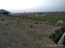 5 sot torpaq sahəsi, Saray qəs.