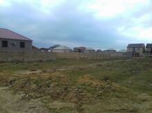 6 sot torpaq sahəsi, Saray qəs.