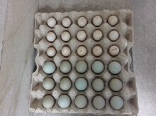 Kəklik yumurtası