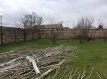 Bağ evi, Novxanı qəs.