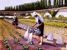 Bağban işi axtarıram
