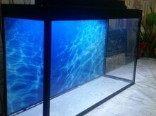 Akvarium
