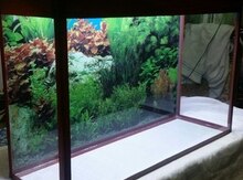 Akvarium